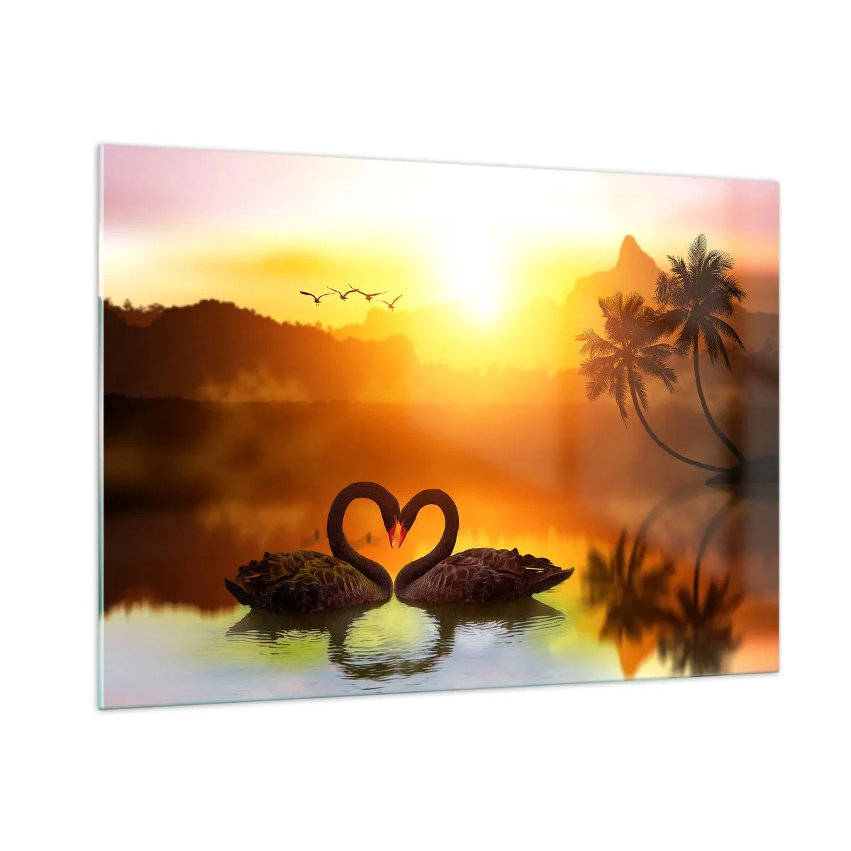Quadro su vetro - Cigni neri sul lago al tramonto - 100x70cm - Tutto in coppia - Decorazione murale moderna per soggiorno e camera da letto ARTTOR