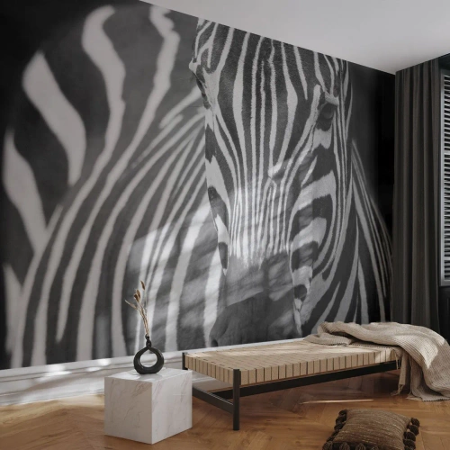 Fotomurali Premium Sand - Il mondo è in bianco e nero - Animali, Costolette, Bianco e nero - 450x315 cm