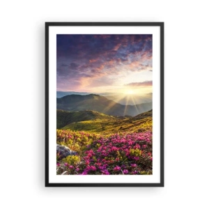 Poster in cornice nera - Fiori in montagna illuminati dai raggi del sole al tramonto - 50x70cm - La freschezza di un mattino sui monti - Decorazione murale moderna per soggiorno e camera da letto ARTTOR
