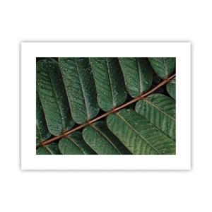 Poster - Al ritmo verde - 40x30 cm