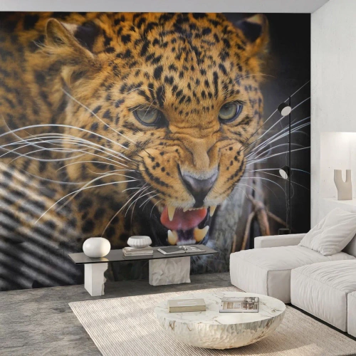 Fotomurali Autoadesivo Deluxe Sticker - Non avvicinarti, ti avverto! - Animali, leopardo, Gatto selvatico - 450x315 cm