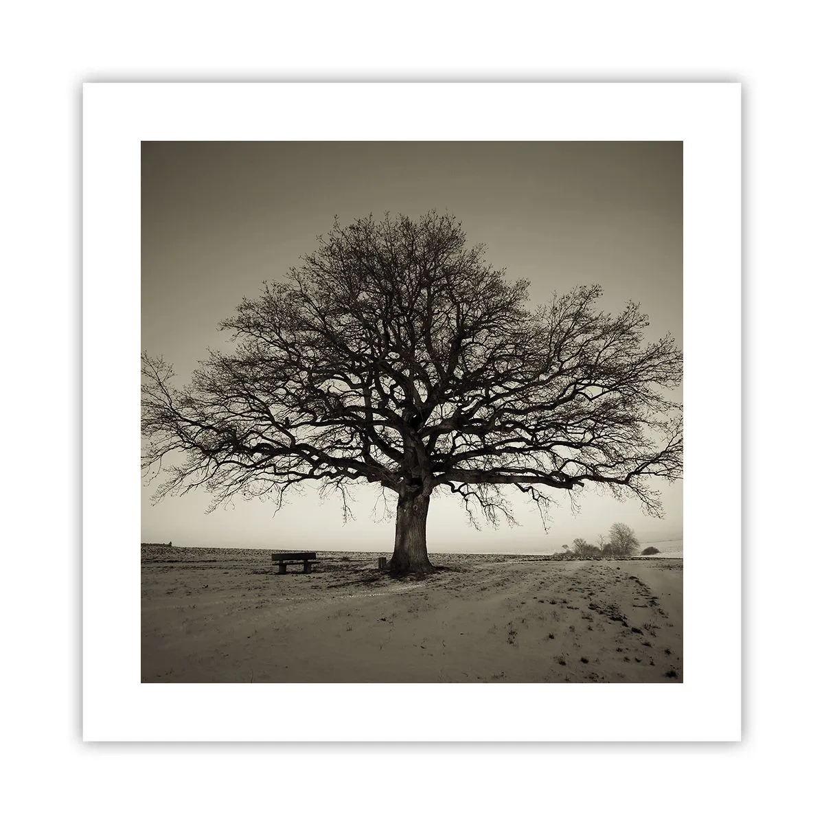 Poster - Da qui all'eternità - 40x40 cm