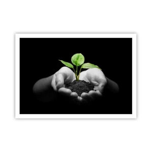 Poster - Mani che tengono una pianta verde su uno sfondo nero - 100x70cm - Amo la natura, la proteggo - Decorazione murale moderna per soggiorno e camera da letto ARTTOR