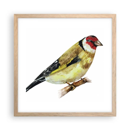 Poster in cornice rovere chiaro - Ritratto di uccello - 40x40 cm