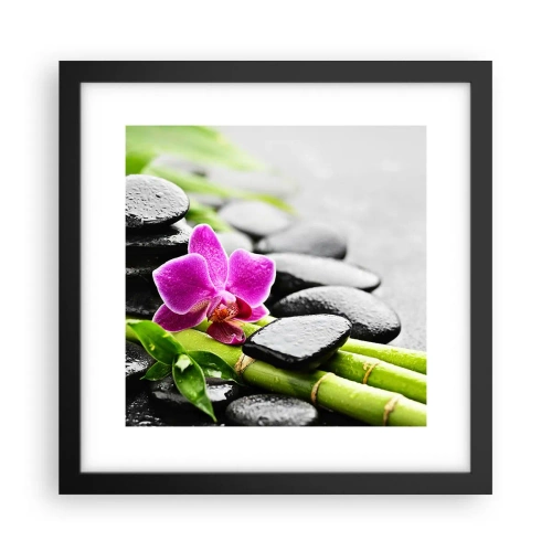 Poster in cornice nera - Un tranquillo equilibrio - 30x30 cm