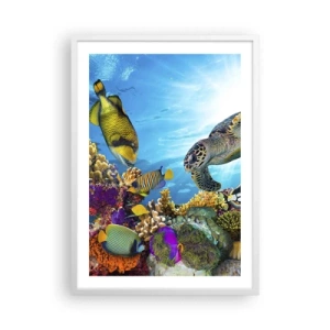 Poster in cornice bianca - Passeggiata corallina - 50x70 cm