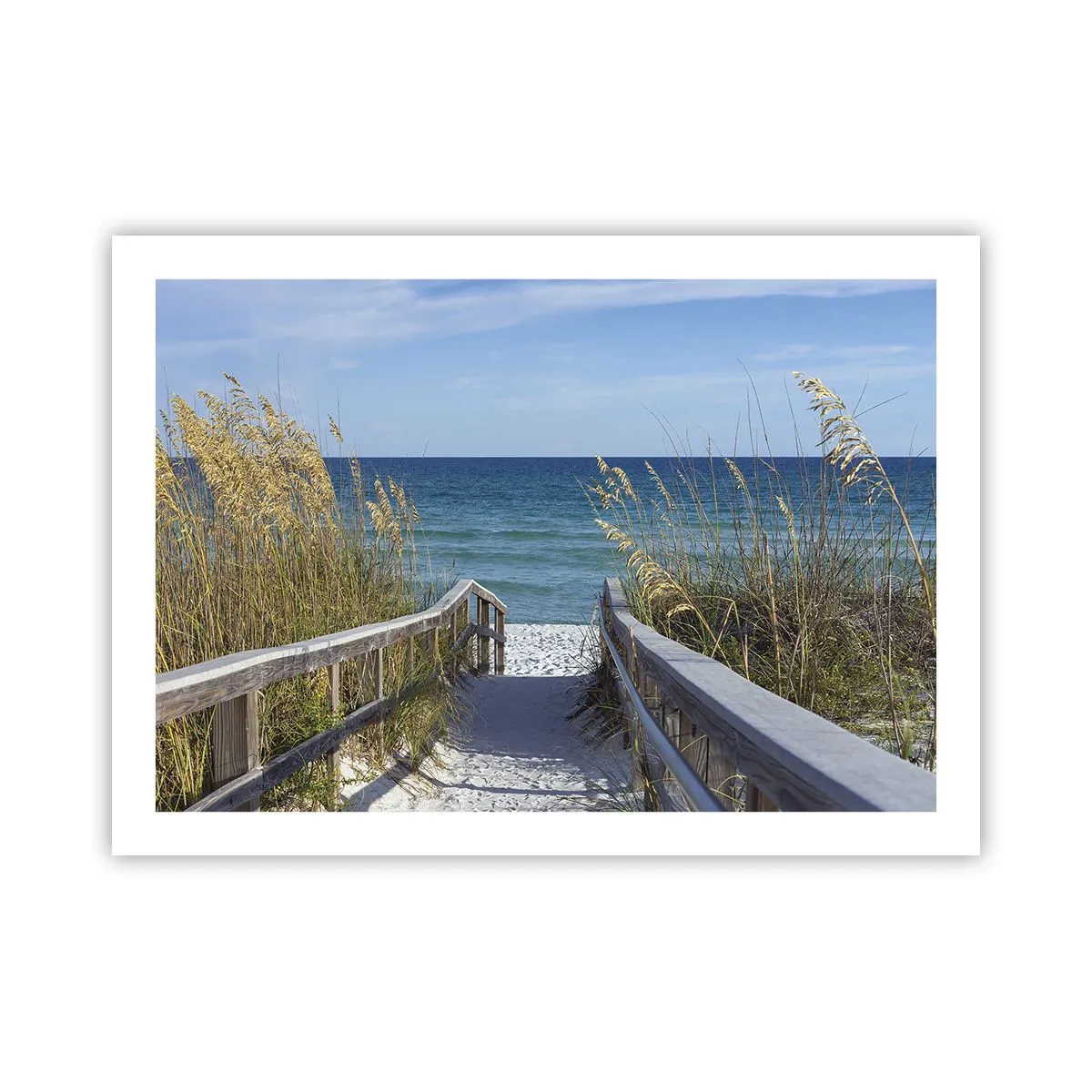 Poster - Al sole, al vento - 70x50 cm