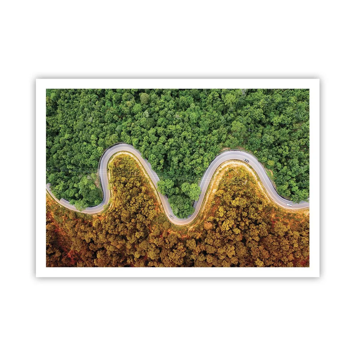 Poster - Una strada tortuosa attraverso la foresta vista da una prospettiva a volo d'uccello - 100x70cm - Confine e separazione - Decorazione murale moderna per soggiorno e camera da letto ARTTOR