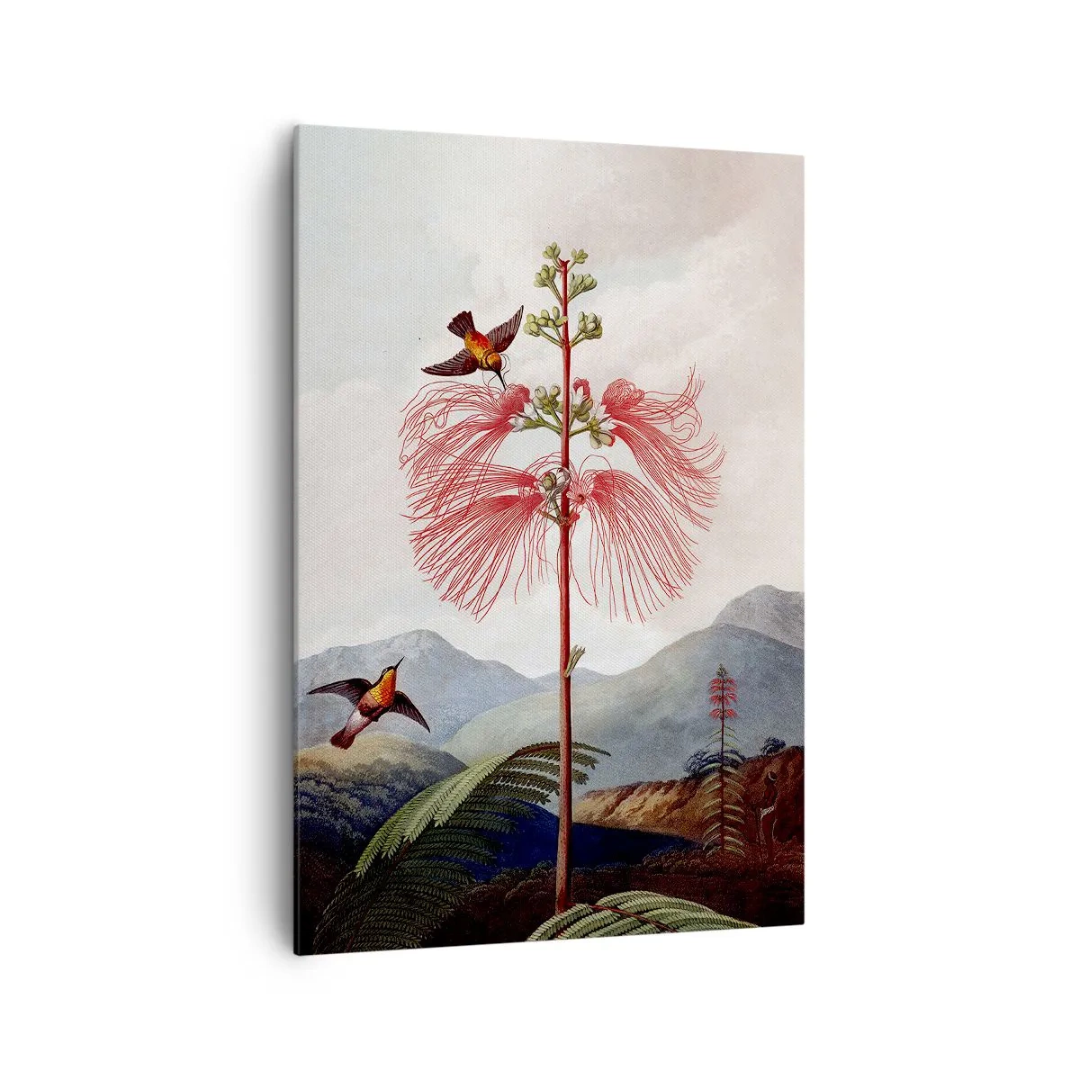 Quadro su tela - Stampe su Tela - Nel paradiso tropicale - 70x100 cm