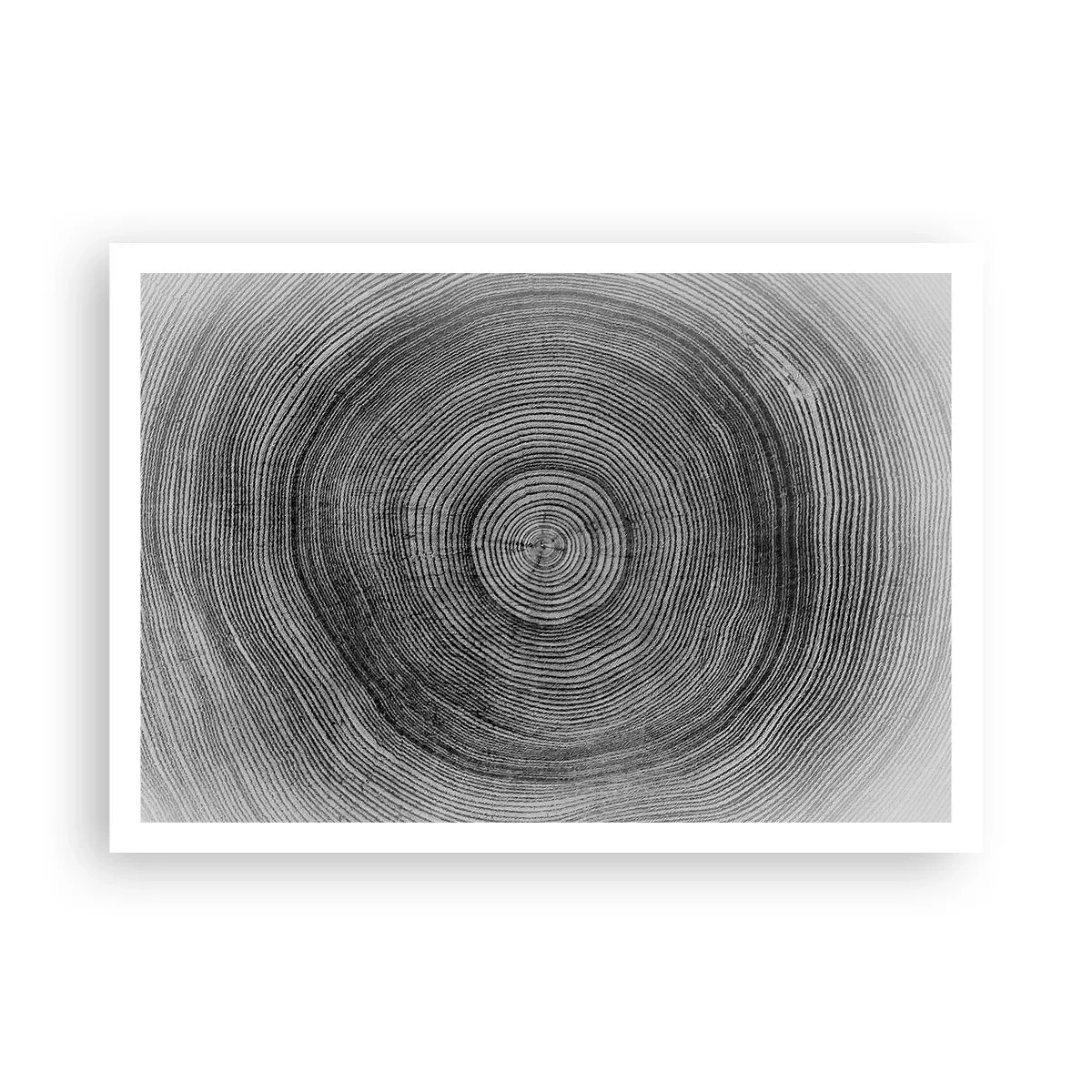 Poster - Modello di anelli di un albero in bianco e nero che mostra una sezione trasversale del tronco - 100x70cm - I segni del tempo - Decorazione murale moderna per soggiorno e camera da letto ARTTOR