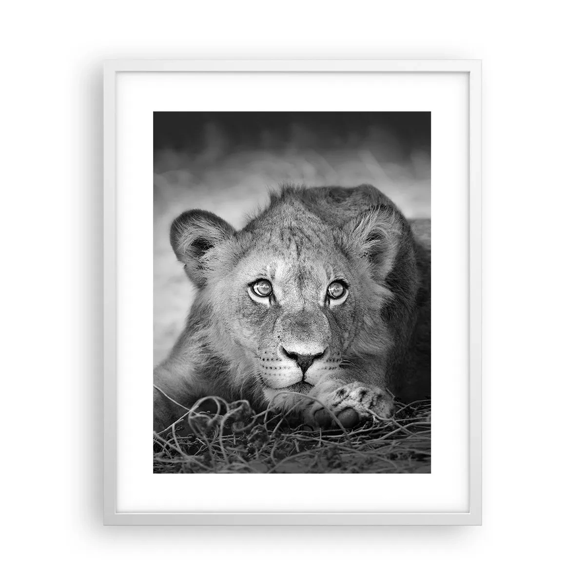 Poster in cornice bianca - Cucciolo reale - 40x50 cm