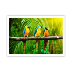 Poster - Tre pappagalli colorati su uno sfondo di vegetazione tropicale - 100x70cm - Hai sentito che ha fatto? - Decorazione murale moderna per soggiorno e camera da letto ARTTOR