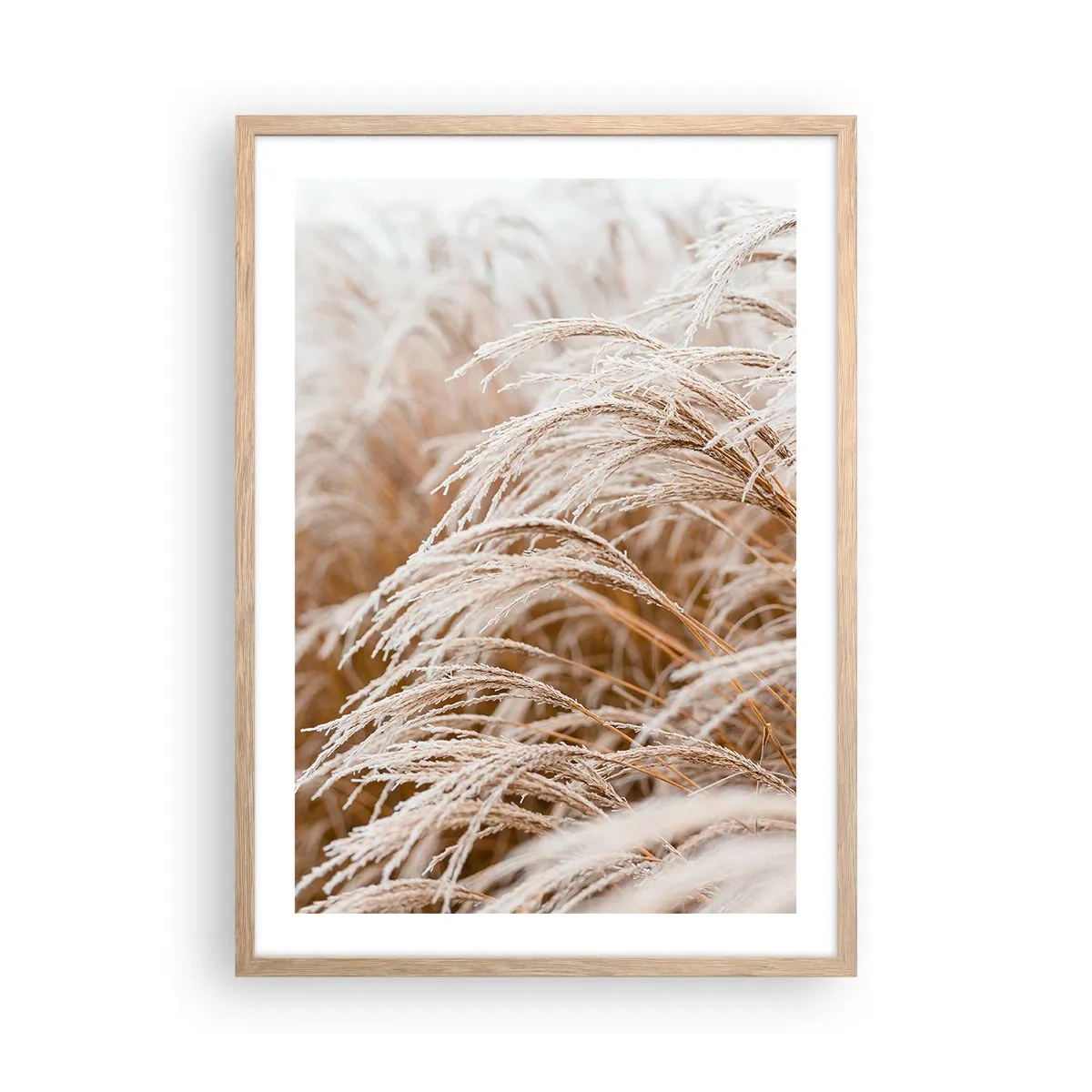 Poster in cornice rovere chiaro - Inchino al sole d'autunno - 50x70 cm