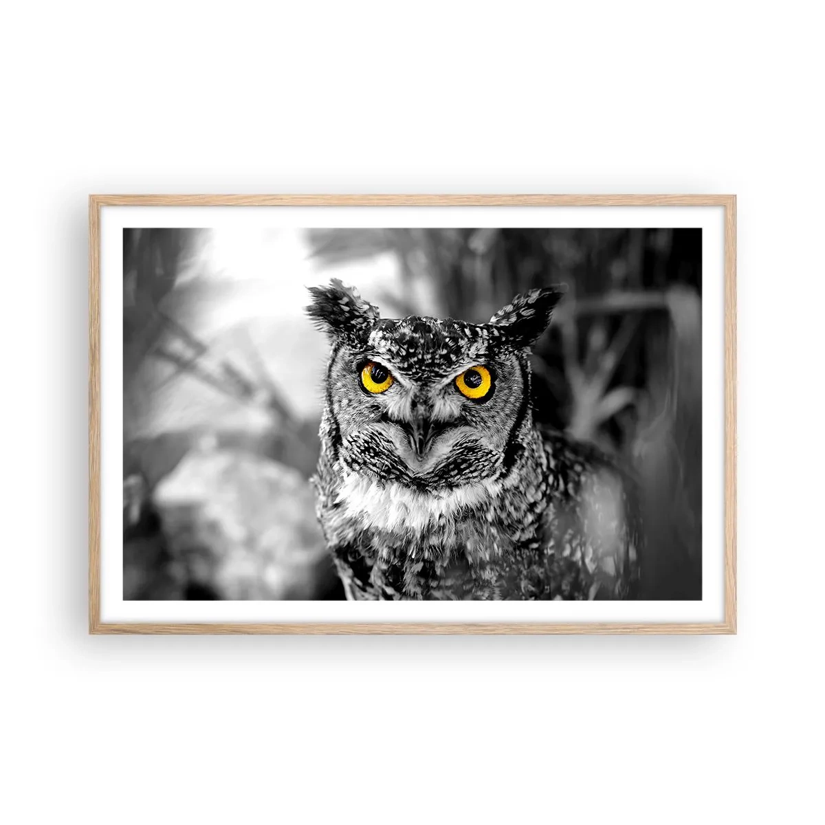 Poster in cornice rovere chiaro - Non si può nascondere niente - 91x61 cm