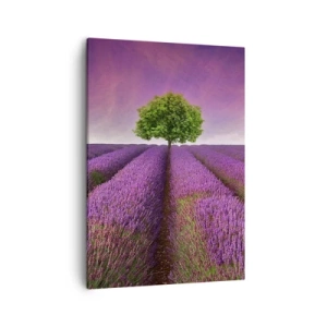 Quadro su tela - Stampe su Tela - Un campo di lavanda con un albero solitario e un cielo viola - 50x70cm - Sui campi di lavanda - Decorazione murale moderna per soggiorno e camera da letto ARTTOR