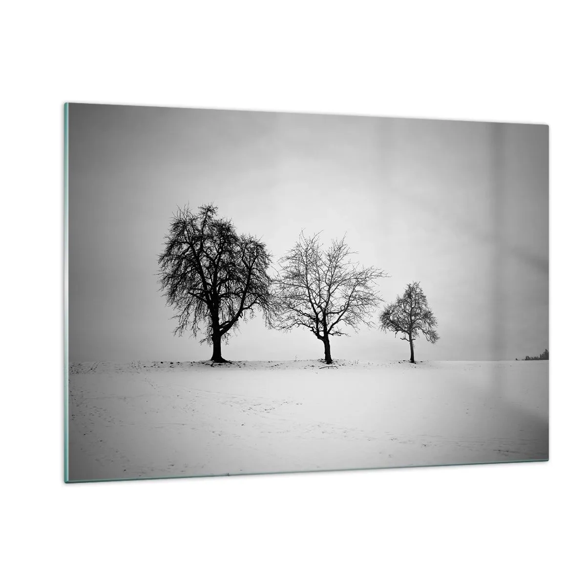 Quadro su vetro - Tre alberi solitari in una zona innevata - 120x80cm - Cosa sognano? - Decorazione murale moderna per soggiorno e camera da letto ARTTOR