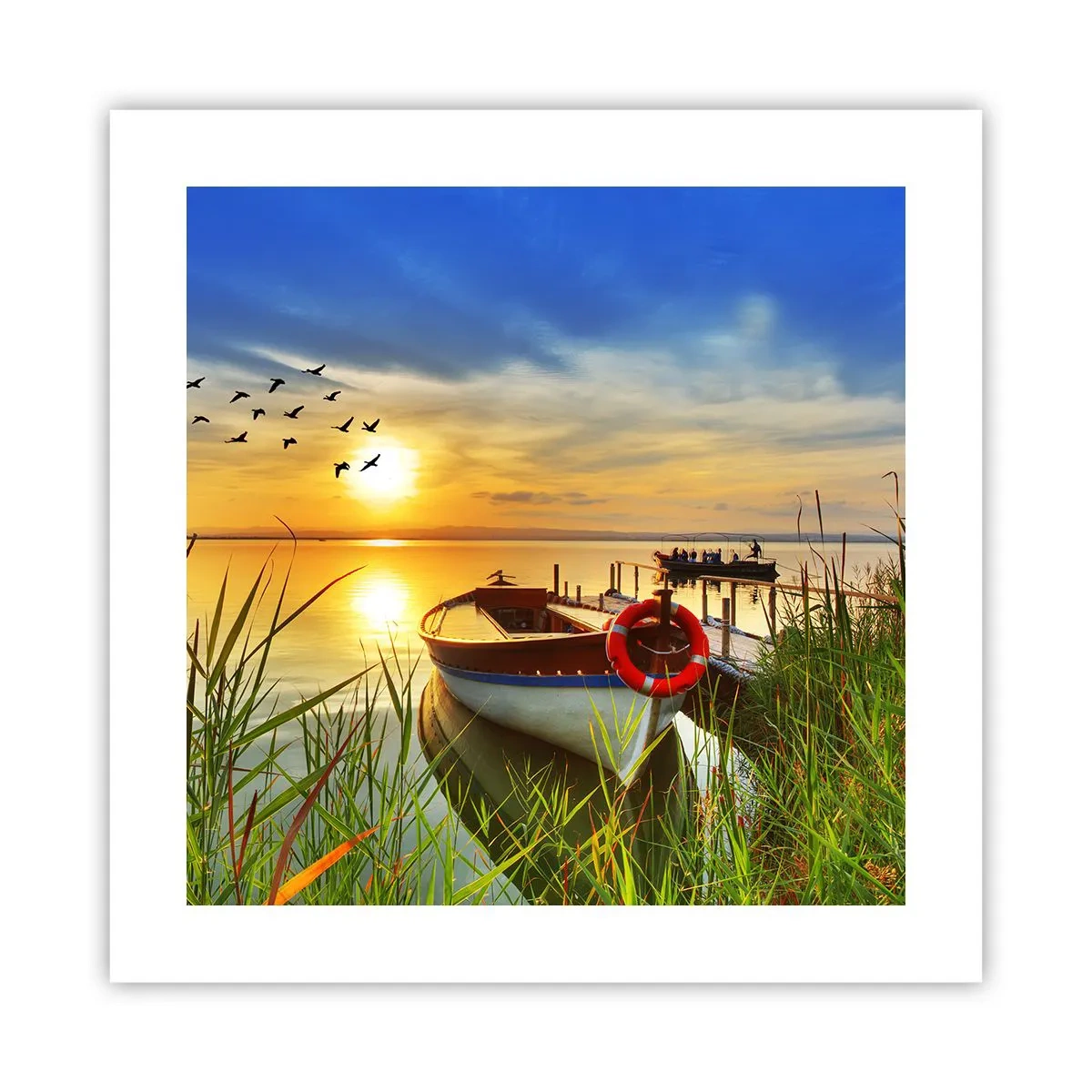 Poster - I cormorano volano già via - 40x40 cm