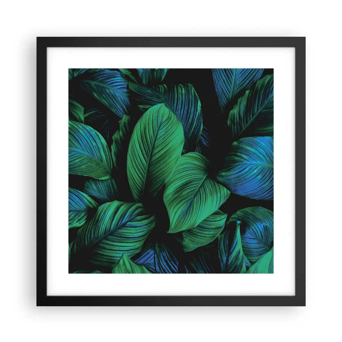 Poster in cornice nera - Nella folla verde - 40x40 cm