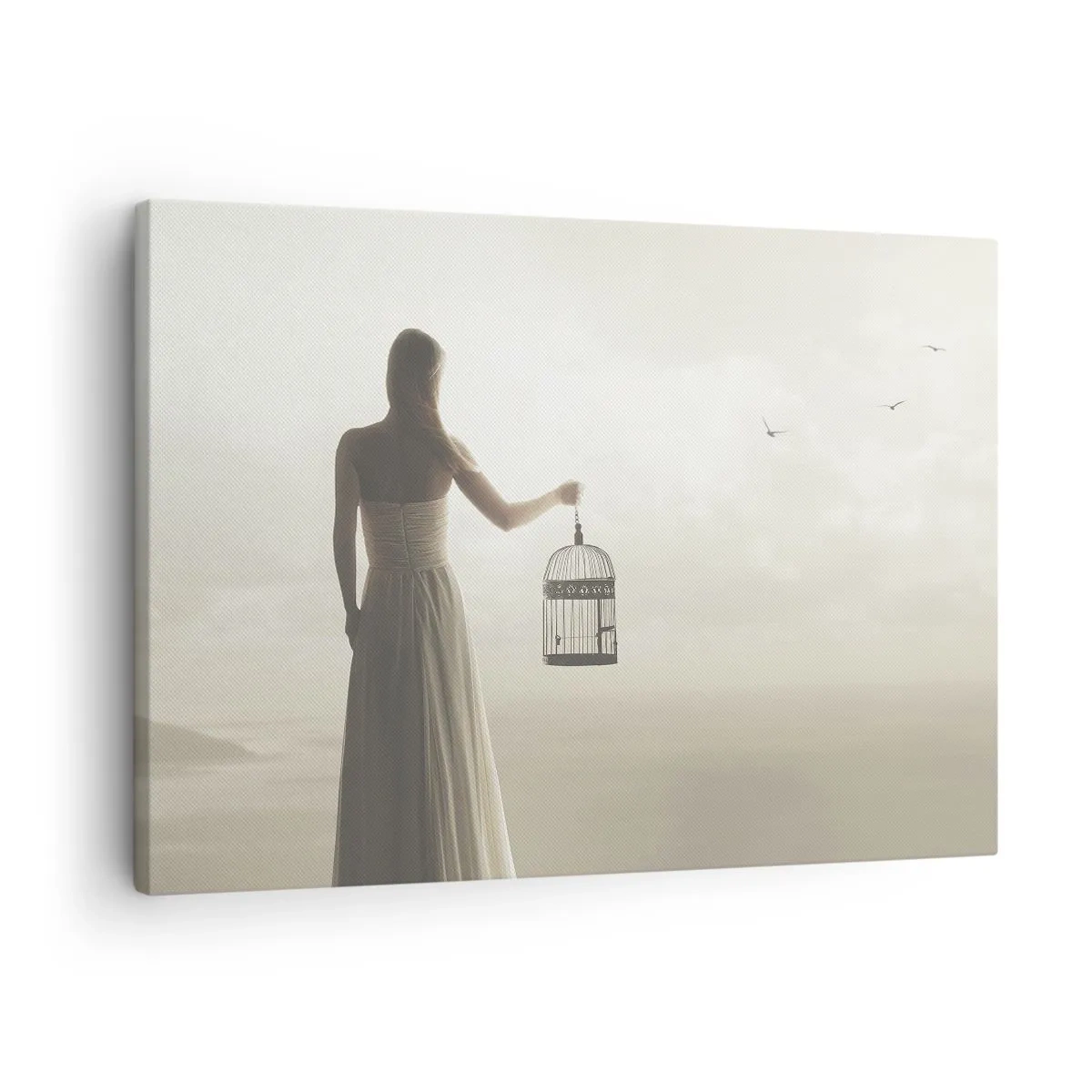 Quadro su tela - Stampe su Tela - Una donna con una gabbia contro un cielo calmo - 70x50cm - Sii libera - Decorazione murale moderna per soggiorno e camera da letto ARTTOR