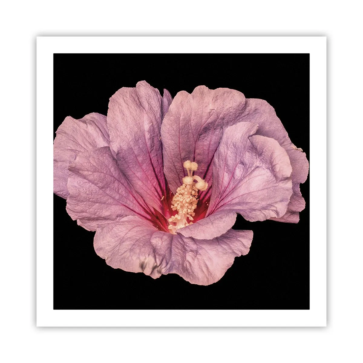 Poster - Dritto al cuore - 60x60 cm