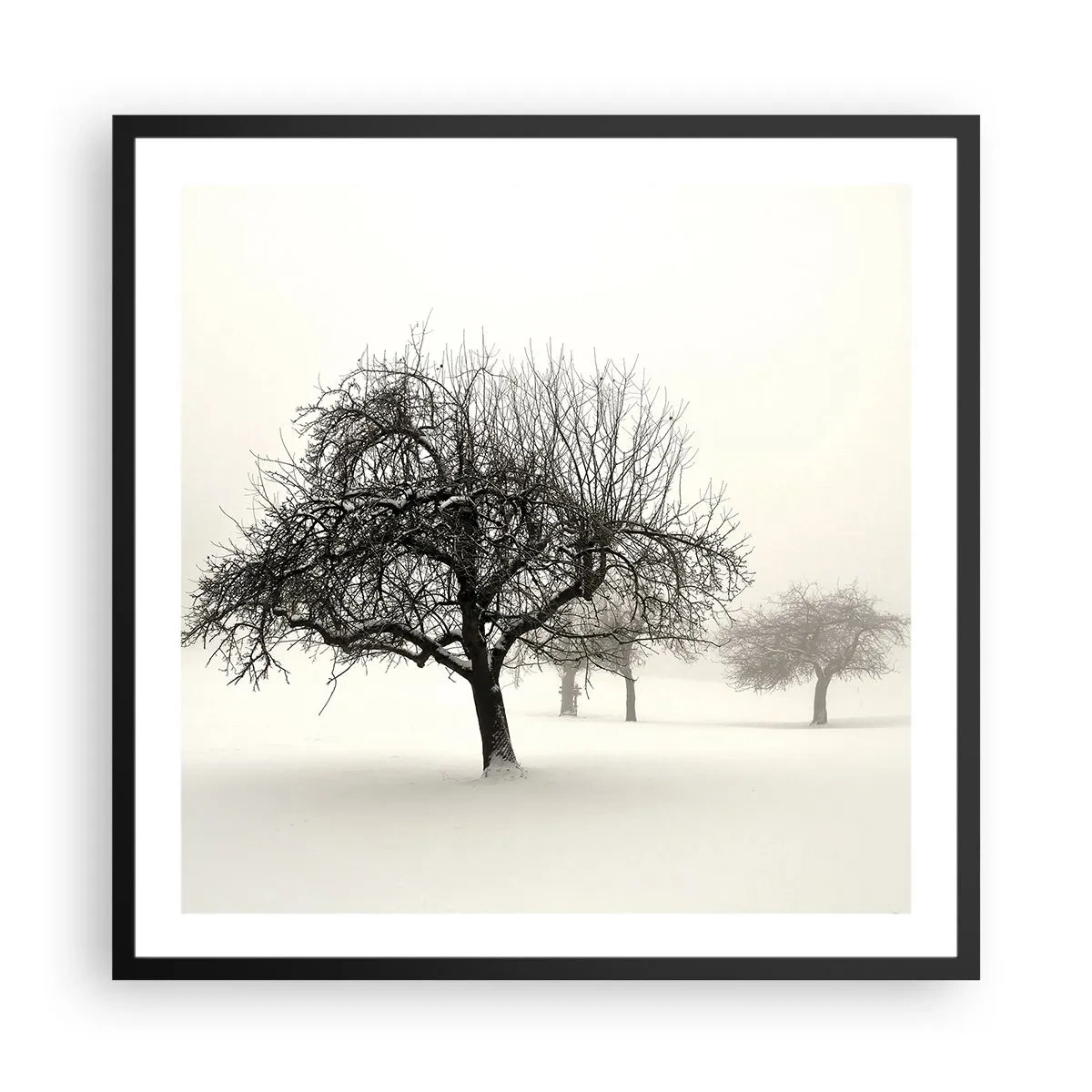 Poster in cornice nera - Sogno invernale - 60x60 cm