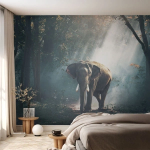 Fotomurali Premium Canvas - Tranquilla passeggiata - Animali, Elefante, Giungla - 200x140 cm