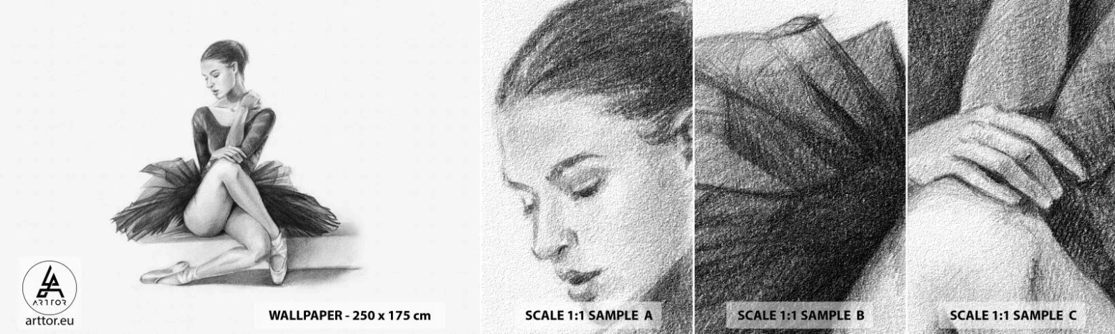 Campione di Fotomurale Adesivo Deluxe Sticker - Incantata dalla danza - Ballerina, Danza, Balletto - 100x30 cm