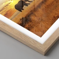 Rovere chiaro