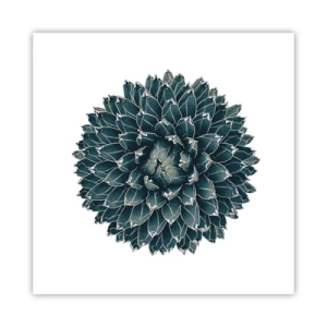 Poster - La stella del deserto - 60x60 cm