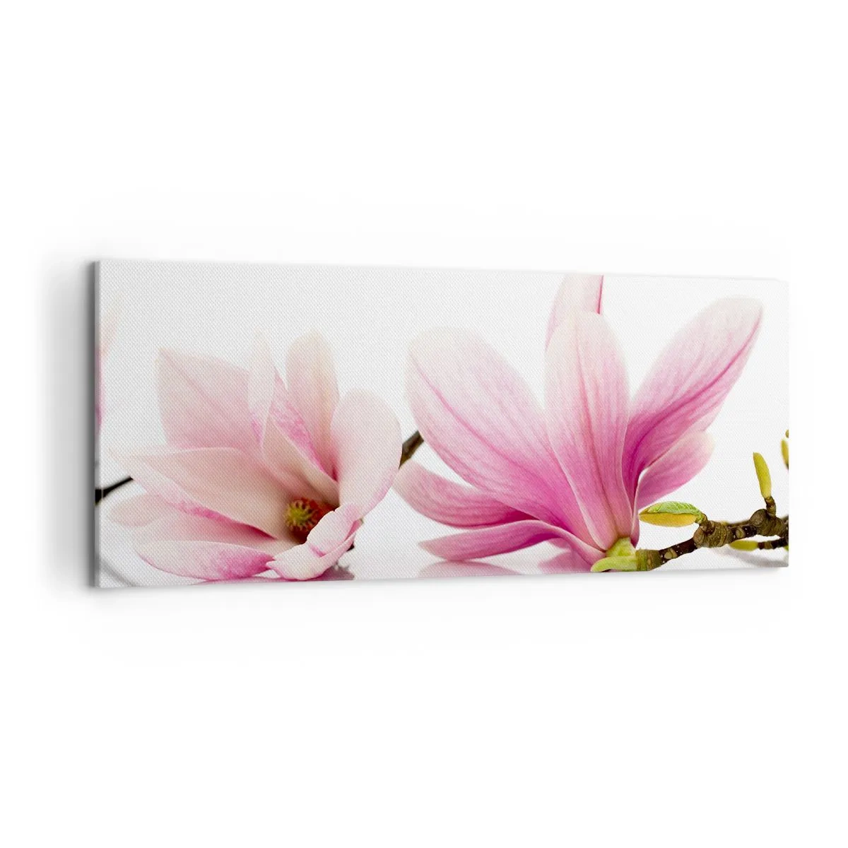 Quadro su tela - Stampe su Tela - Delicati come un soffio di primavera - 100x40 cm