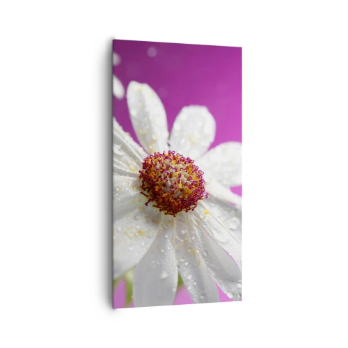 Quadro su tela - Stampe su Tela - Modesto nella sua bellezza - 65x120 cm