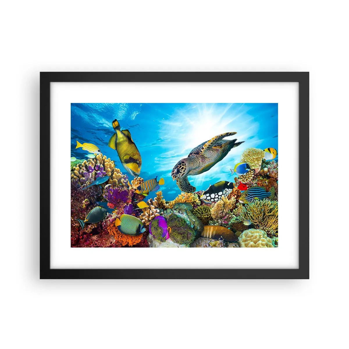 Poster in cornice nera - Passeggiata corallina - 40x30 cm