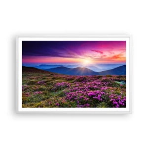 Poster in cornice bianca - Il profumo dei fiori freschi del campo - 91x61 cm