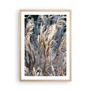 Poster in cornice rovere chiaro - Vestite di brina - 50x70 cm