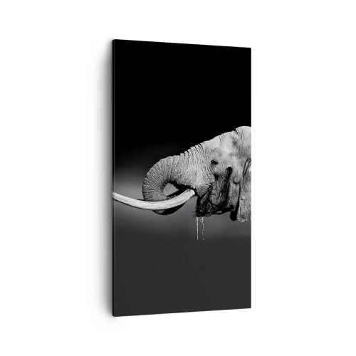 Quadro su tela - Stampe su Tela - Si, adesso va bene - 45x80 cm