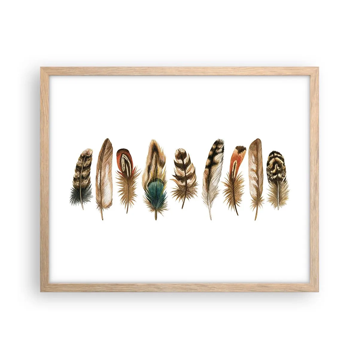 Poster in cornice rovere chiaro - Composizione di piume - 50x40 cm
