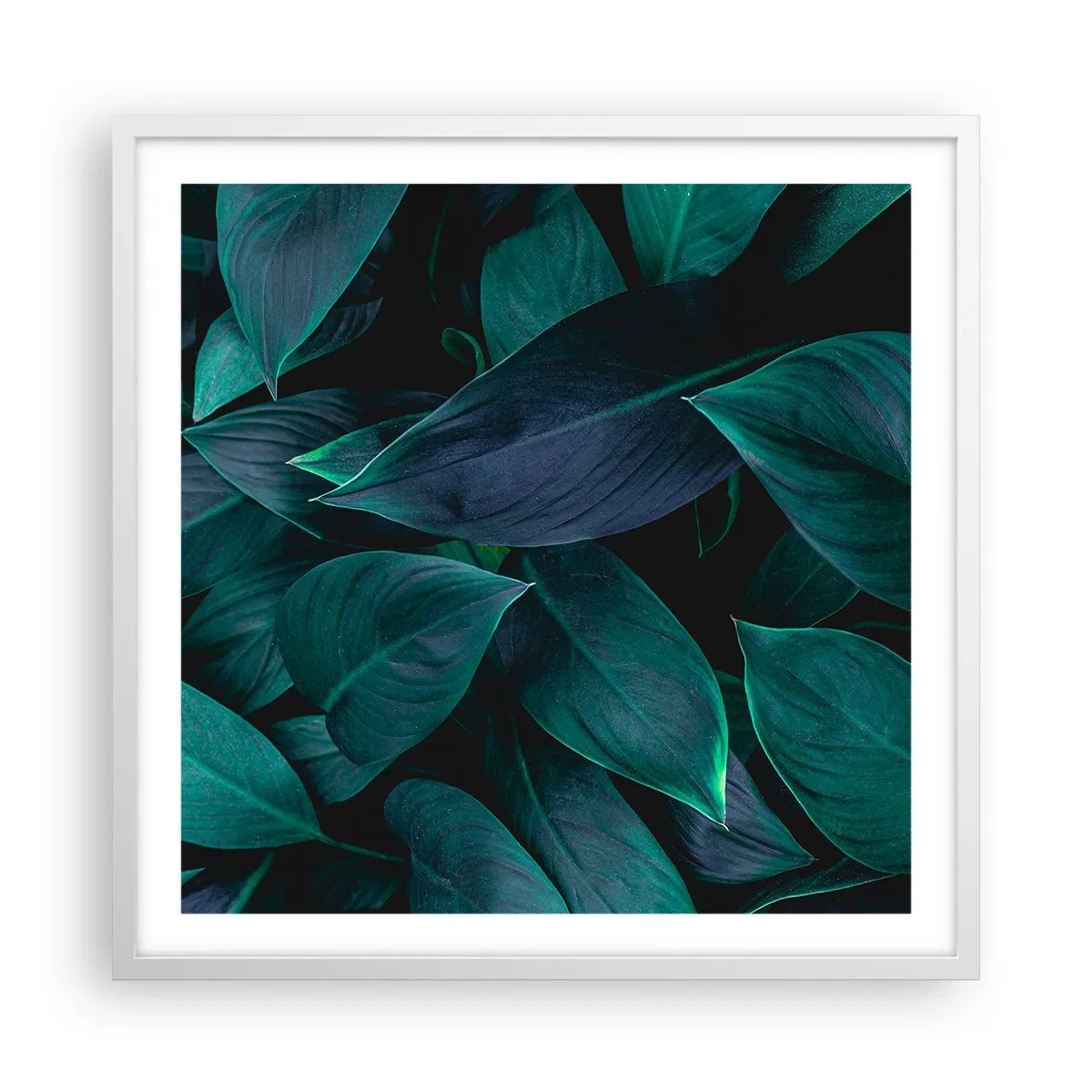 Poster in cornice bianca - Il verde puro - 60x60 cm