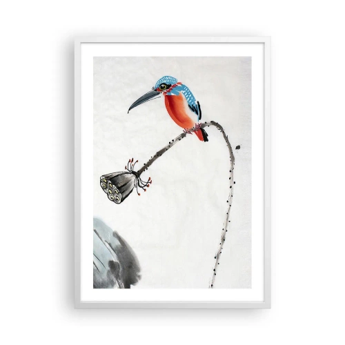 Poster in cornice bianca - La vita del prato - 50x70 cm