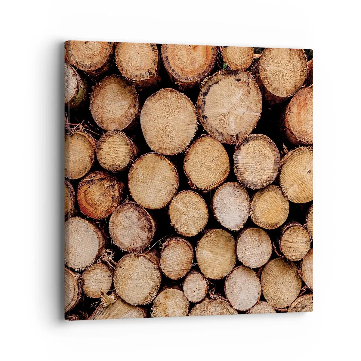 Quadro su tela - Stampe su Tela - Nuovo inizio - 40x40 cm