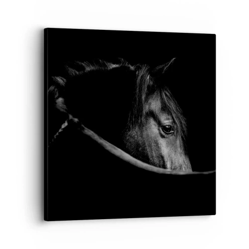 Quadro su tela - Stampe su Tela - Il principe nero - 30x30 cm