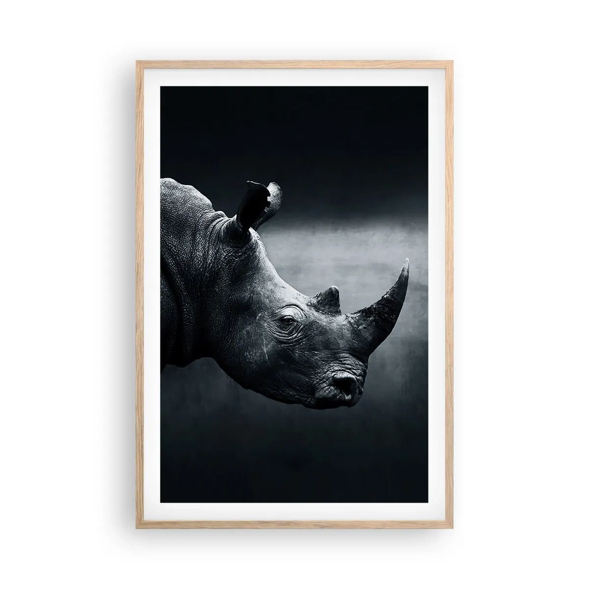 Poster in cornice rovere chiaro - Profilo destro - 61x91 cm
