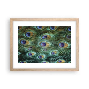 Poster in cornice rovere chiaro - Lo sguardo del pavone - 40x30 cm