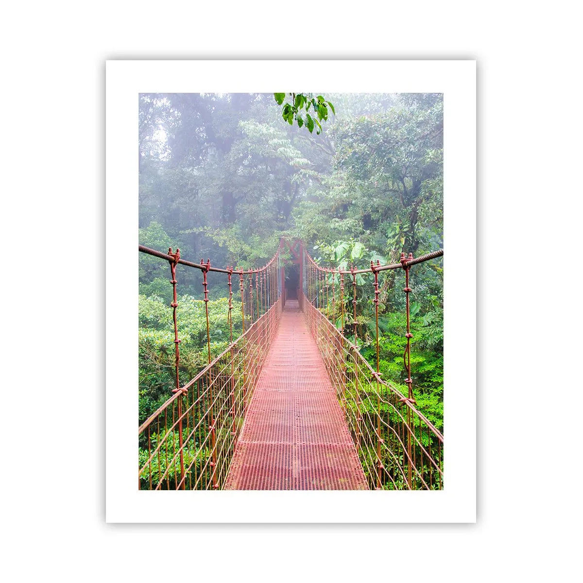 Poster - Sospeso sopra gli alberi - 40x50 cm