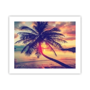 Poster - Sera sotto le palme - 50x40 cm