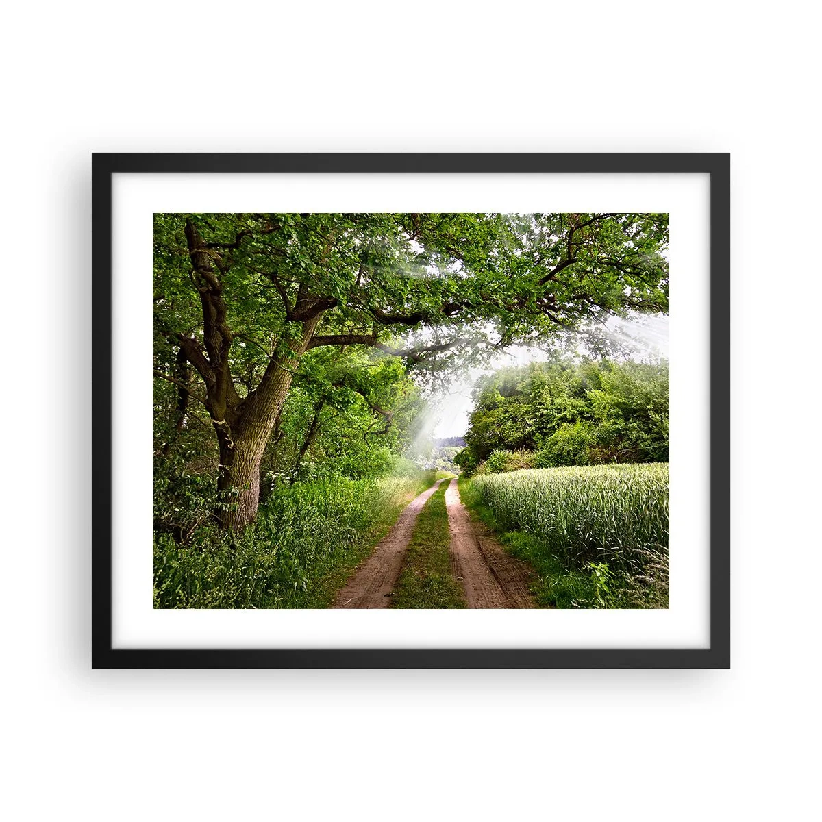 Poster in cornice nera - Et in Arcadia ego - 50x40 cm