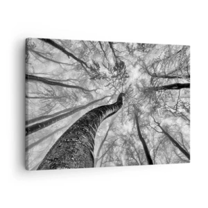 Quadro su tela - Stampe su Tela - Prospettiva degli alberi in una foresta visti dal basso in tonalità di grigio - 70x50cm - La corsa verso la luce - Decorazione murale moderna per soggiorno e camera da letto ARTTOR