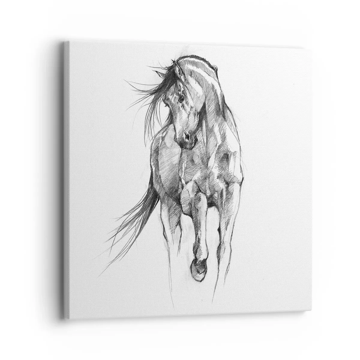 Quadro su tela - Stampe su Tela - Trotto aggraziato - 30x30 cm