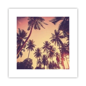 Poster - Composizione tropicale - 30x30 cm