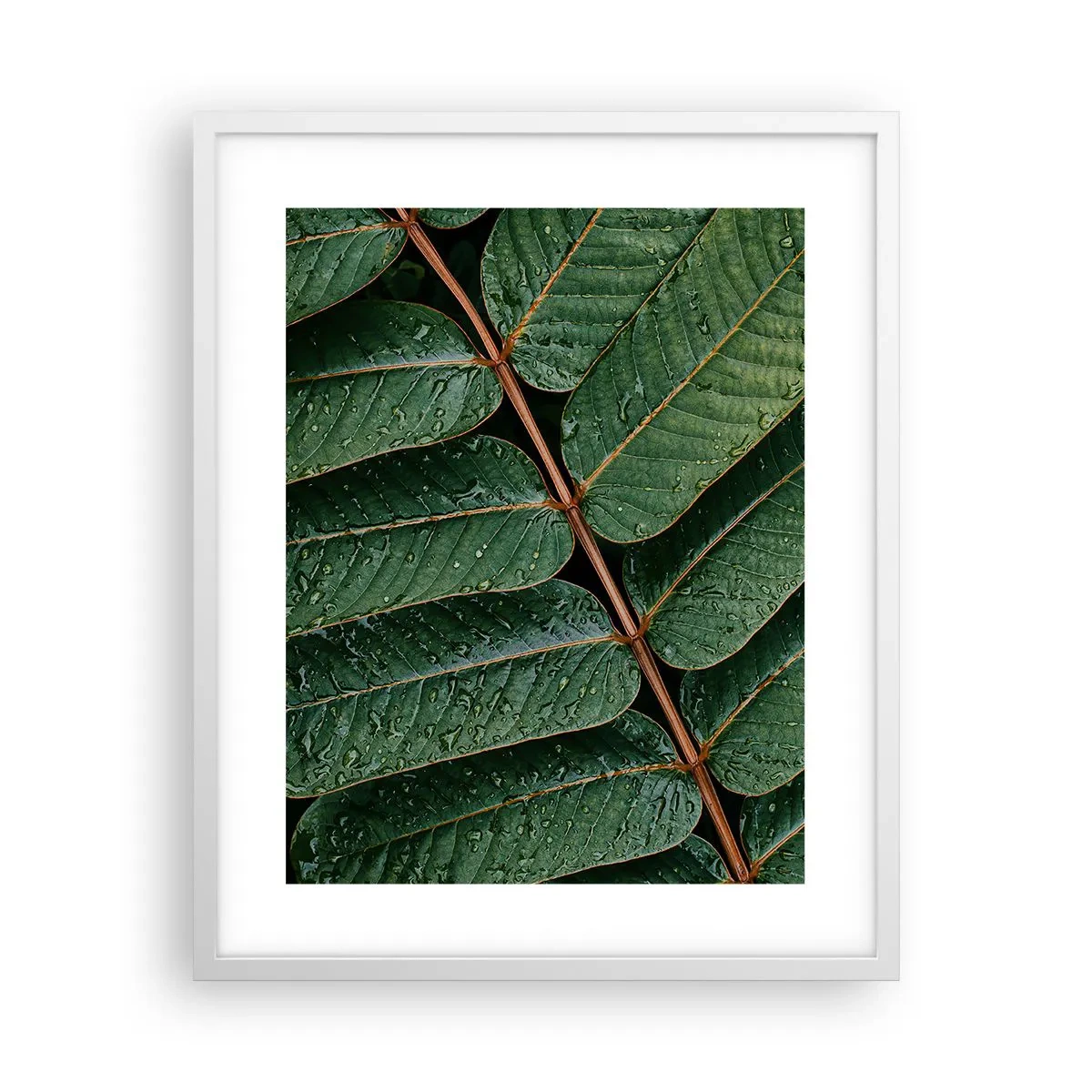 Poster in cornice bianca - Al ritmo verde - 40x50 cm