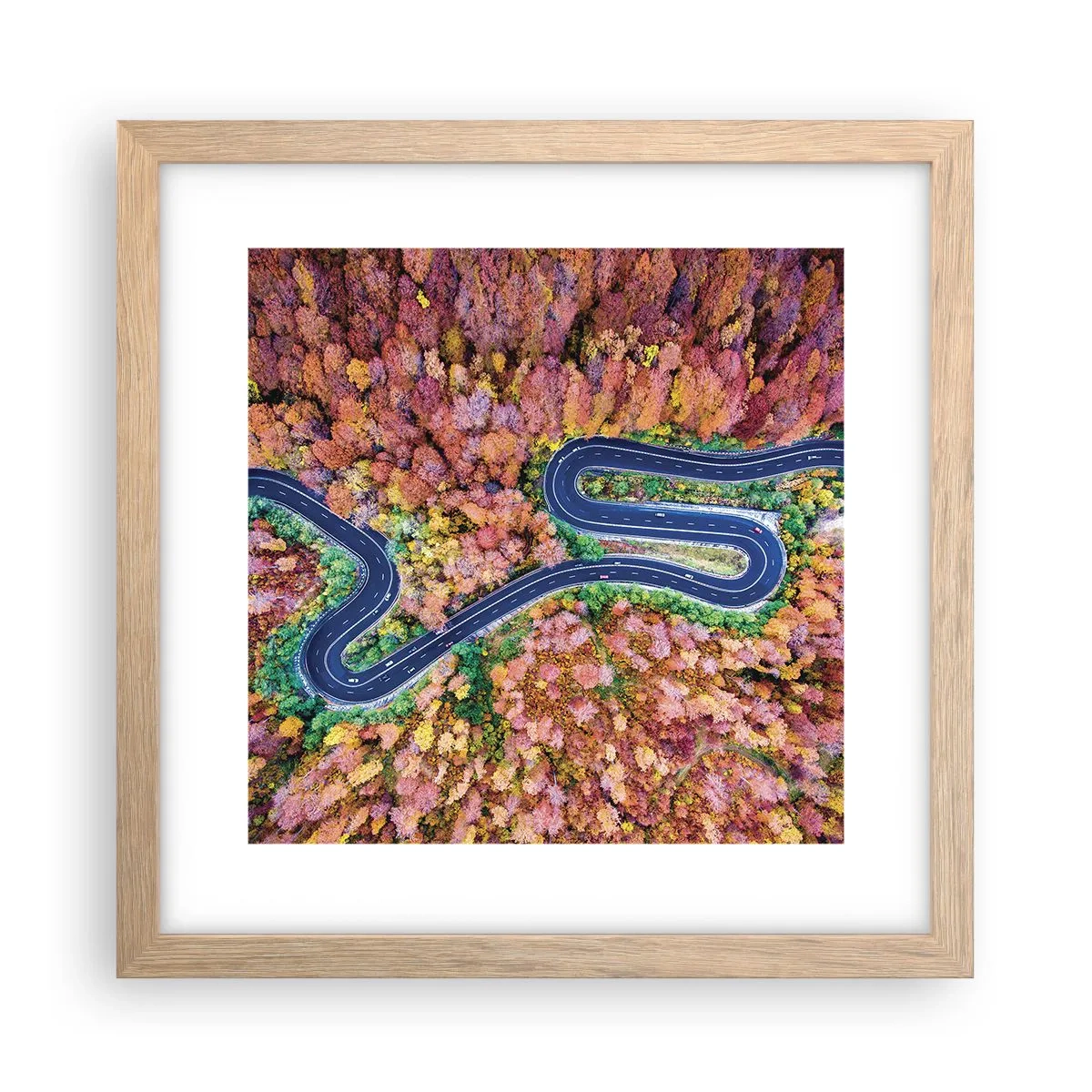 Poster in cornice rovere chiaro - Via tortuosa attraverso il bosco - 30x30 cm